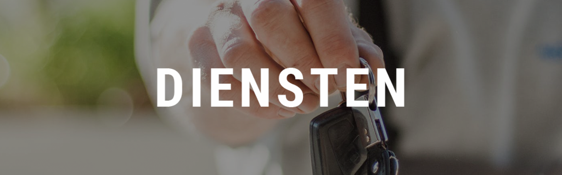 GarageDenissen_Diensten